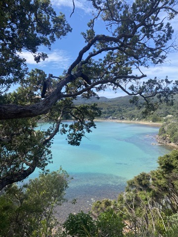 1186338b 51d9 4c31 bde5 efe5138dc8b1 4 5005 c