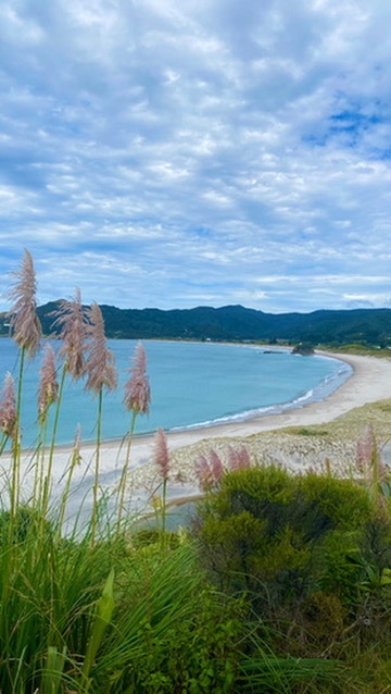 6a7d40cb 4e09 4bda 8a36 7301d53e9fdb 4 5005 c