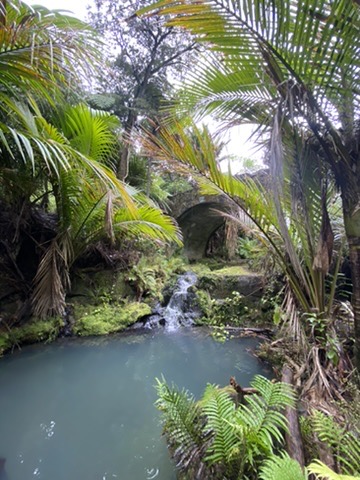 6ffbd44a d12c 448a ad4c 6e083ae6582f 4 5005 c